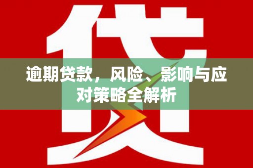 中原逾期贷款，风险、影响与应对策略全解析