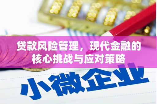 雨山贷款风险管理，现代金融的核心挑战与应对策略