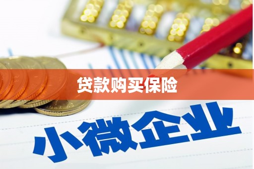 龙泉驿贷款购买保险