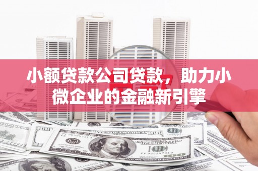 石家庄小额贷款公司贷款，助力小微企业的金融新引擎