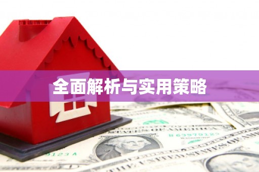 萨嘎全面解析与实用策略