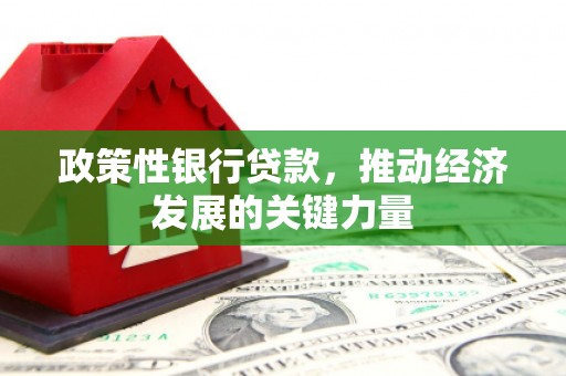 东台政策性银行贷款，推动经济发展的关键力量