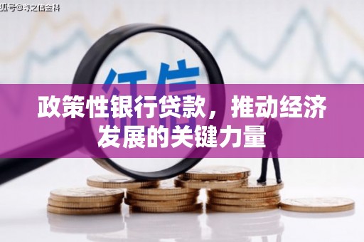 椒江政策性银行贷款，推动经济发展的关键力量