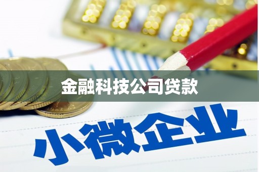大武金融科技公司贷款