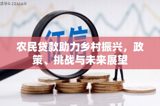 芳苑农民贷款助力乡村振兴，政策、挑战与未来展望