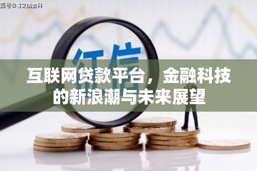雷州互联网贷款平台，金融科技的新浪潮与未来展望