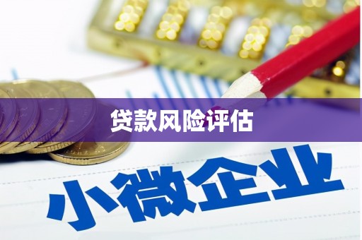 增城贷款风险评估