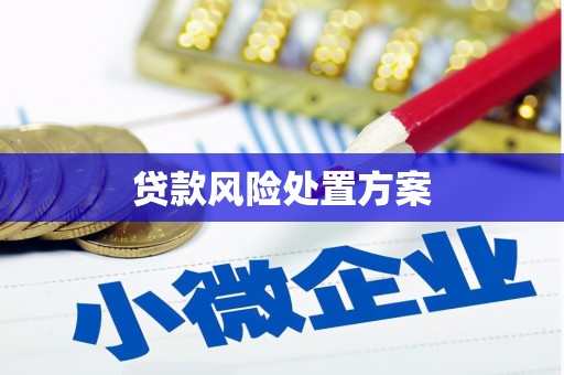 永寿贷款风险处置方案