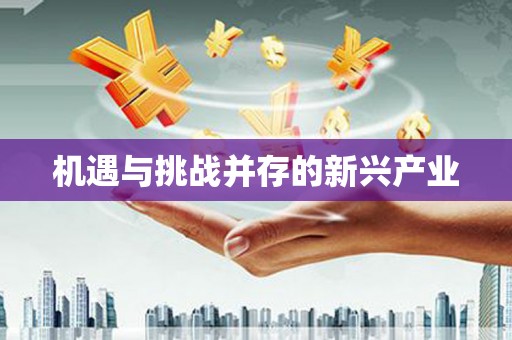 二水机遇与挑战并存的新兴产业