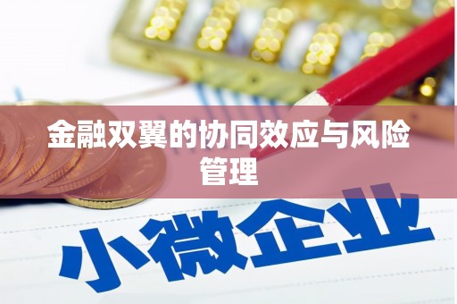 迪庆金融双翼的协同效应与风险管理