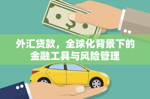 广水外汇贷款，全球化背景下的金融工具与风险管理