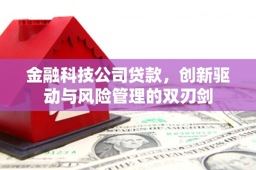 嵊州金融科技公司贷款，创新驱动与风险管理的双刃剑