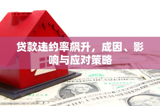 武鸣贷款违约率飙升，成因、影响与应对策略