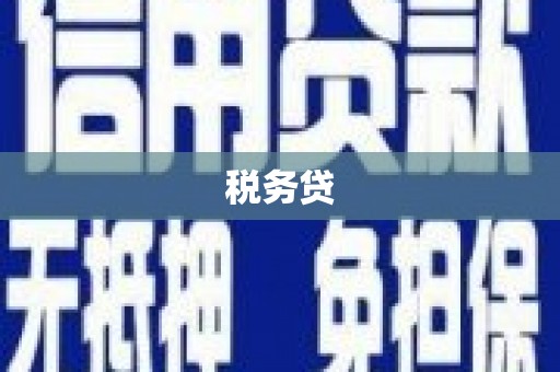 阿巴嘎旗税务贷